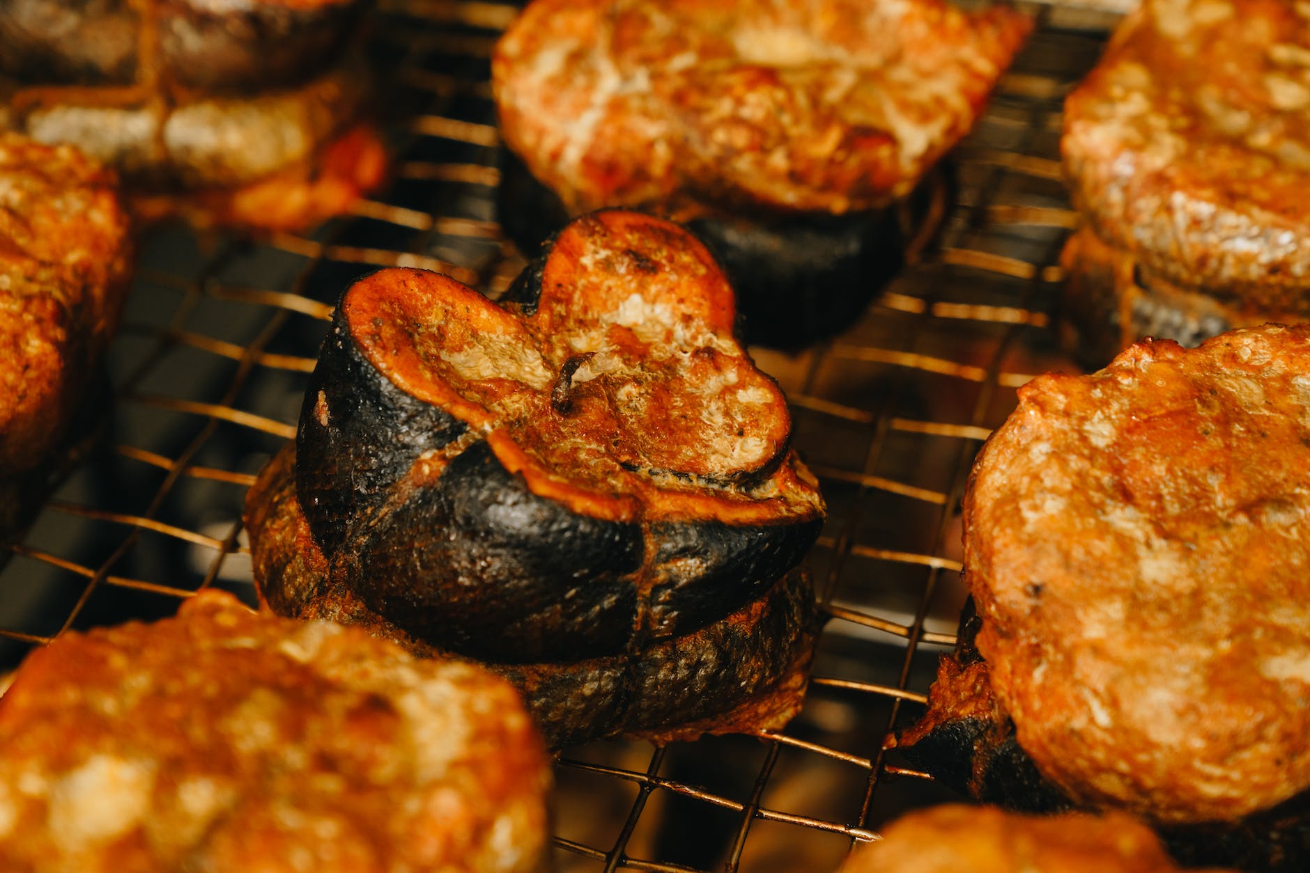closeup of roasted eggplant on grill